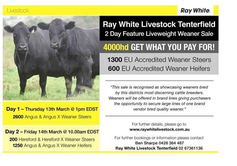 , Casino, NSW – Livestock for Sale • Ray White.